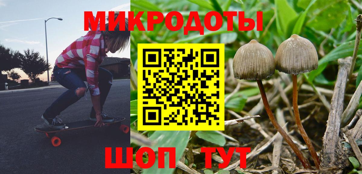 Псилоцибиновые грибы Cubensis  Вход с VPN  Псилоцибиновые грибы прущие грибы  Обнинск 