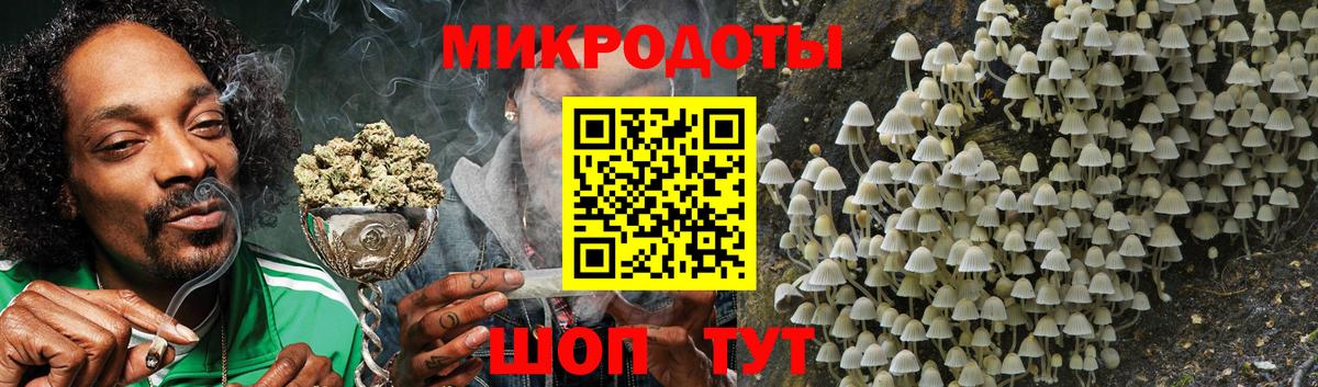 Галлюциногенные грибы прущие грибы Обнинск